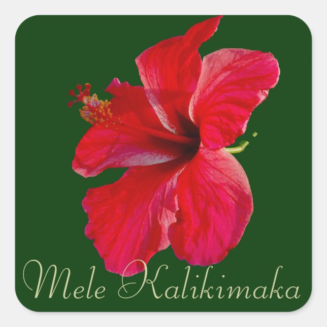 Merry Christmas in Hawaii Mele Kalikimaka Square Sticker (Front)
