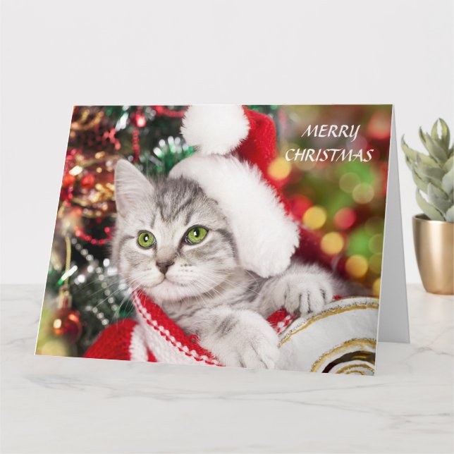 Merry Christmas Kitten Card (Small Plant)
