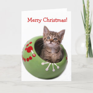Merry Christmas Kitten Holiday Card