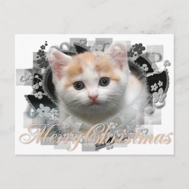 Merry Christmas Kitten - Holiday Postcards (Front)