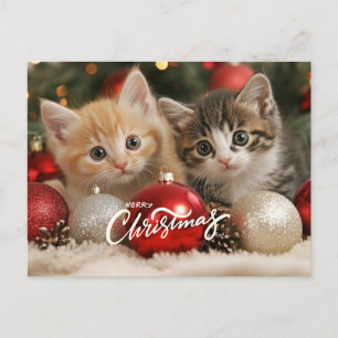 Merry Christmas Kittens and Ornaments Holiday Postcard