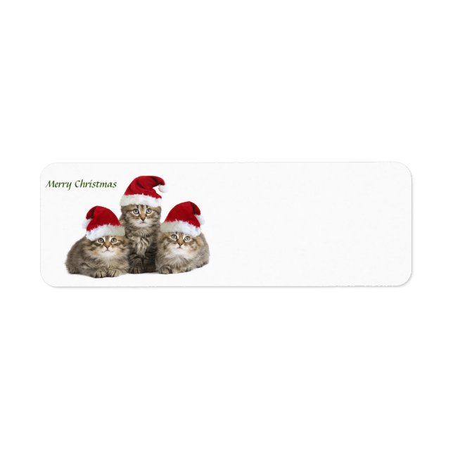 Merry Christmas Kittens label (Front)