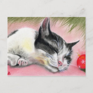 Merry Christmas Kitty Cat  Postcard