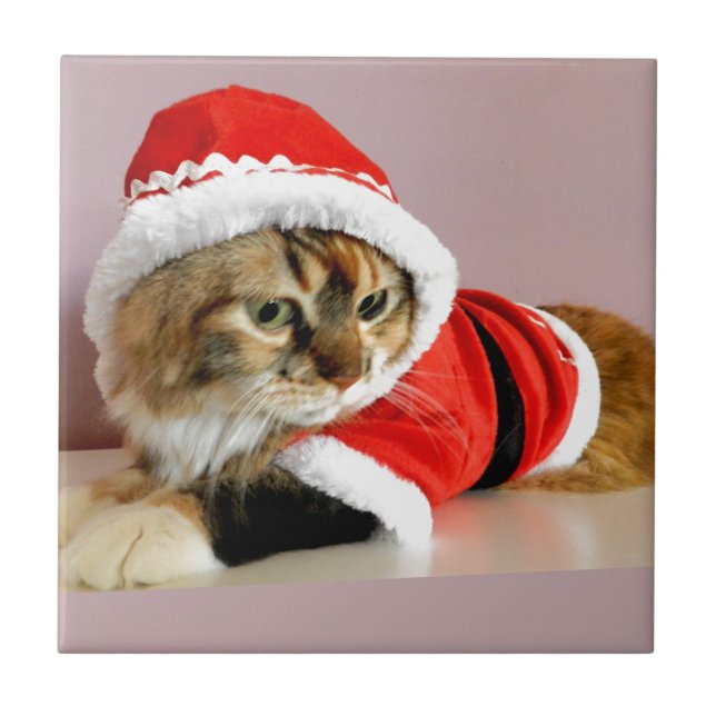 Merry Christmas kitty cat Santa suit Tile (Front)