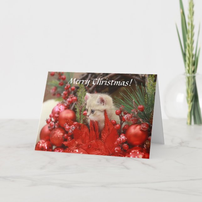 Merry Christmas Kitty Personalise Your Greeting Ho Holiday Card (Front)