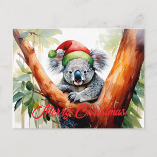 Merry Christmas Koala sitting in Gumtree Holiday Postcard