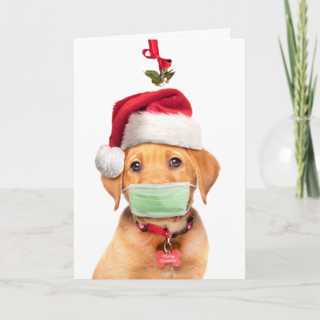 Merry Christmas Labrador Puppy in Face Mask and Sa Holiday Card (Front)
