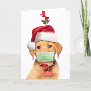 Merry Christmas Labrador Puppy in Face Mask and Sa Holiday Card