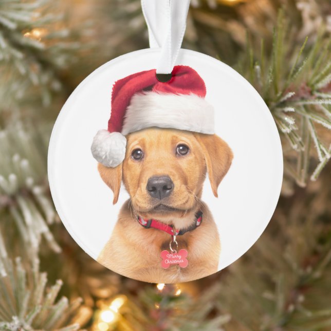 Merry Christmas Labrador Puppy in Santa Hat Ornament (Tree)