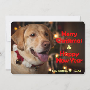 Merry Christmas - Labrador Retriever Bell Collar Holiday Card