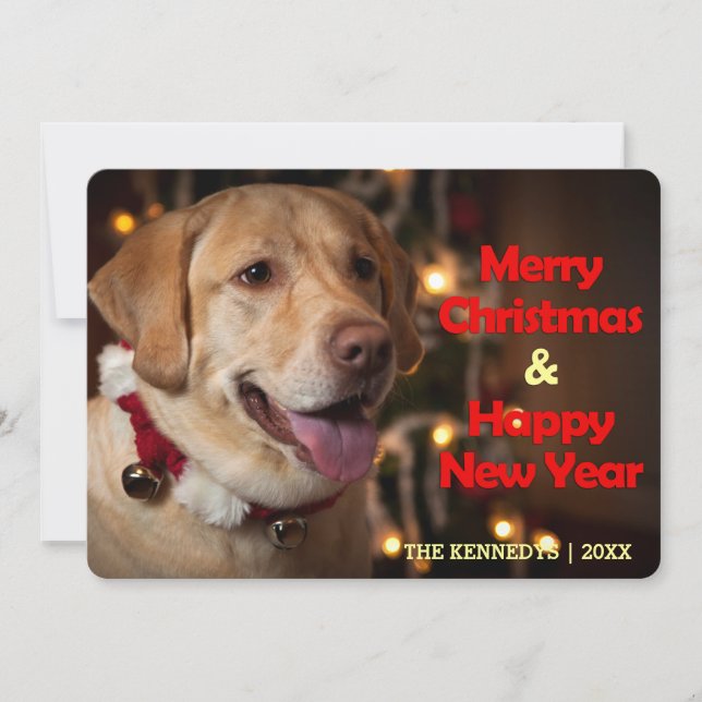 Merry Christmas - Labrador Retriever Bell Collar Holiday Card (Front)