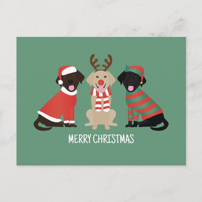 Merry Christmas Labrador Retriever Dogs Holiday Postcard (Front)