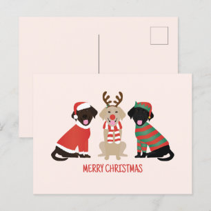 Merry Christmas Labrador Retriever Dogs Postcard