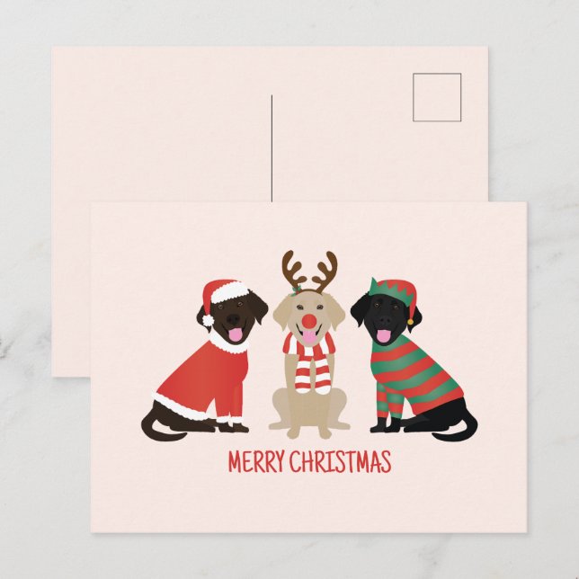 Merry Christmas Labrador Retriever Dogs Postcard (Front/Back)