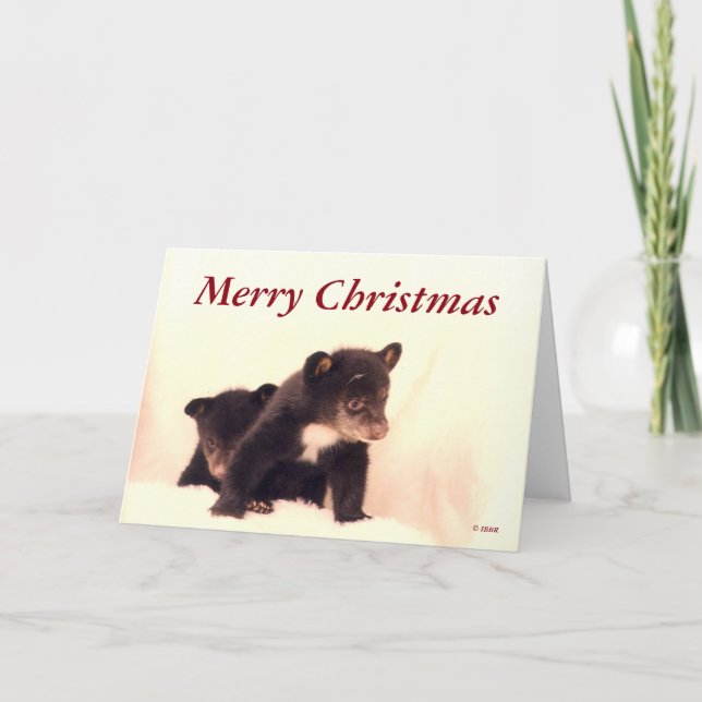 Merry Christmas - Lakota & Paiute Greeting Card (Front)