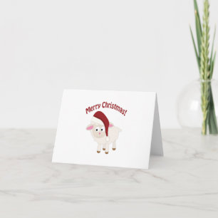 Merry Christmas Lamb Holiday Card