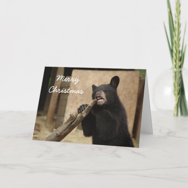 Merry Christmas - Lanikai Holiday Card (Front)