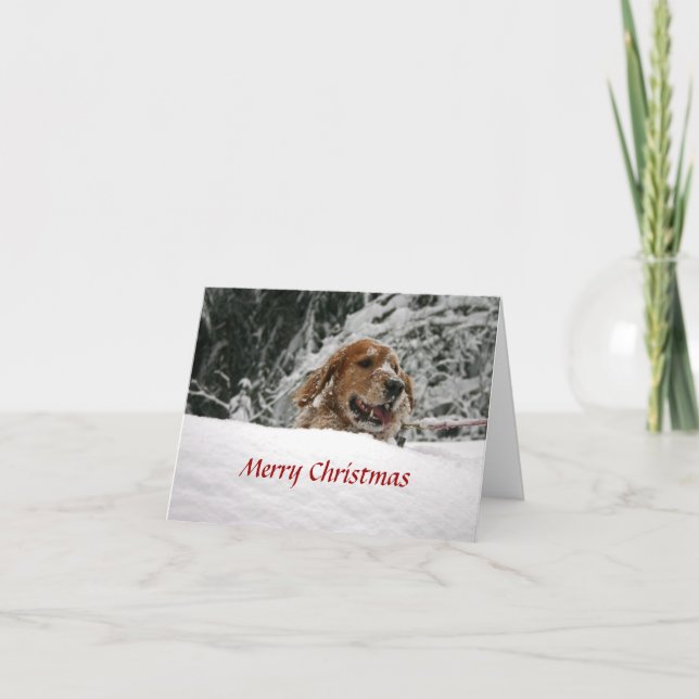 Merry Christmas -Let it Snow Holiday Card (Front)
