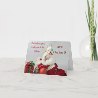 Merry Christmas Lights Santa French Bulldog Card