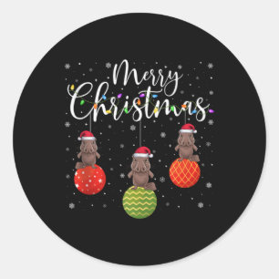 Merry Christmas Lights Santa Hat Platypus Ugly Xma Classic Round Sticker