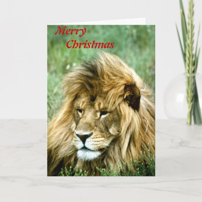 Merry Christmas lion Holiday Card (Front)