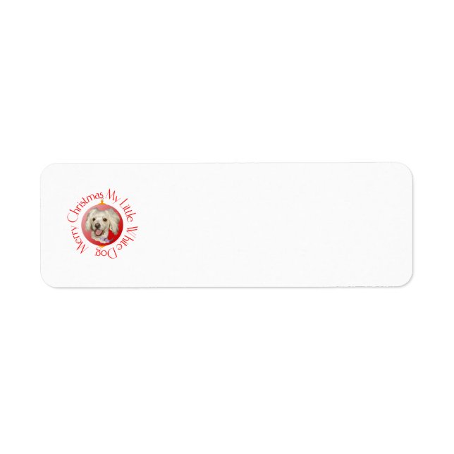 Merry Christmas Little White Dog Poodle / Bichon (Front)