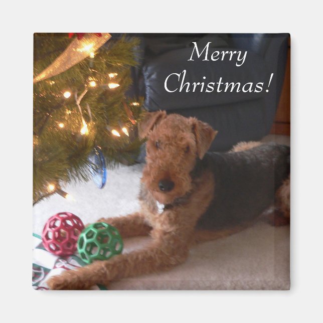 Merry Christmas! Magnet (Front)