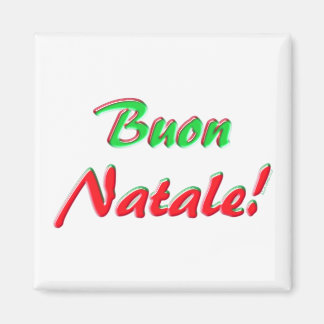 Merry Christmas Magnet
