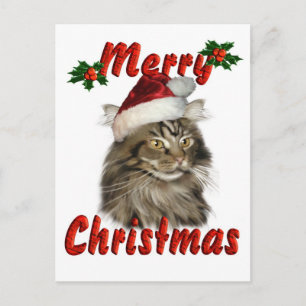 Merry Christmas Maine Coon Cat Holiday Postcard
