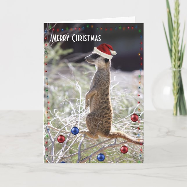 Merry Christmas Meerkat Holiday Card (Front)