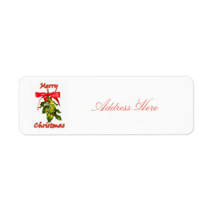 Merry Christmas mistletoe