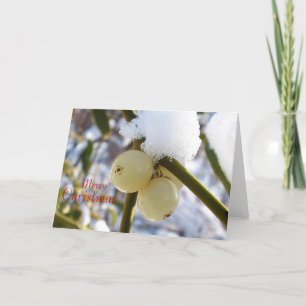 Merry Christmas(Mistletoe Berries) Holiday Card