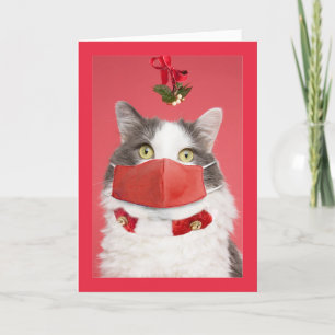 Merry Christmas Mistletoe Cat in Face Mask Humour Holiday Card