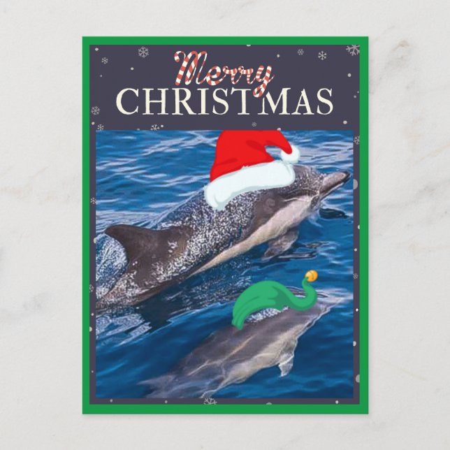 Merry Christmas Mum and Baby Dolphin postcard (Front)