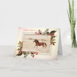Merry Christmas Mustang  Holiday Card