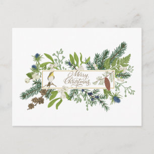 Merry Christmas Nature Forest Illustration Holiday Postcard