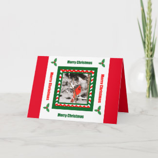 Merry Christmas Northern Cardinal Christmas Card