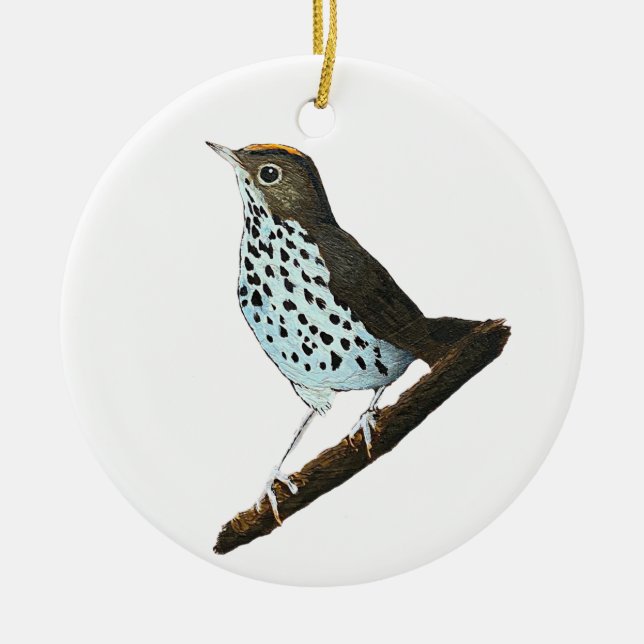 Merry Christmas ~Ovenbird~ Ceramic Tree Decoration (Front)