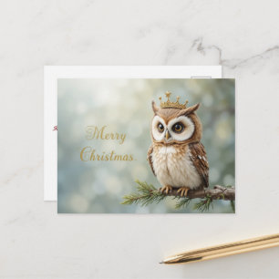 Merry Christmas Owl Cute Woodland Holiday Postcard