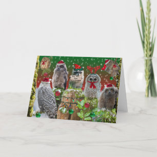 Merry Christmas Owls with a little racoon Holiday Card