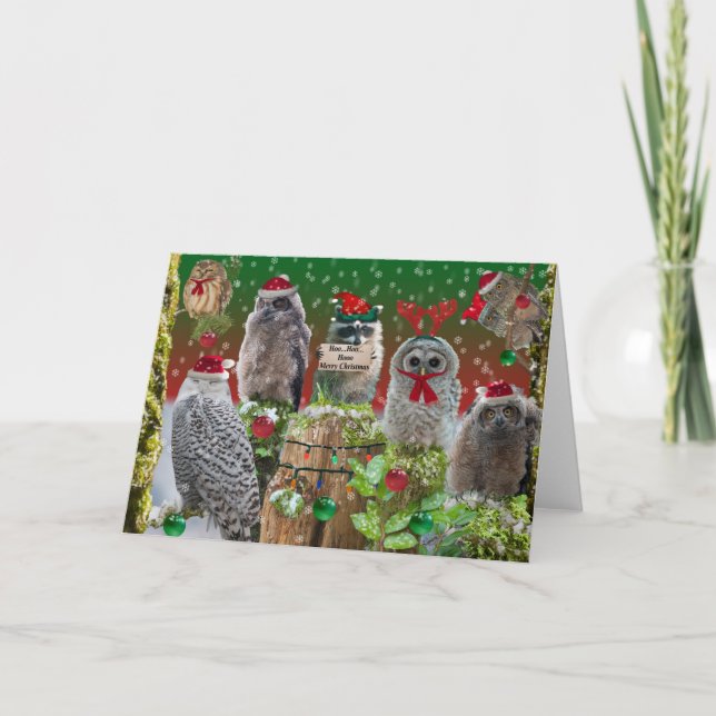 Merry Christmas Owls with a little racoon Holiday Card (Front)