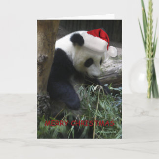 Merry Christmas Panda Happy New Year! Holiday Card