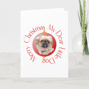 Merry Christmas Pekingese Holiday Card