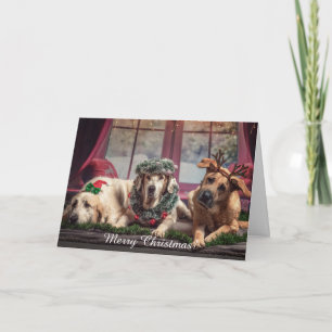 Merry Christmas Personalise Pet Photo Names Holiday Card
