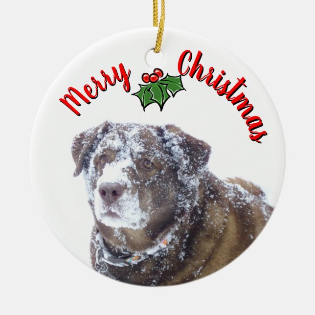  Merry Christmas personalise pet photo template Ceramic Tree Decoration (Front)