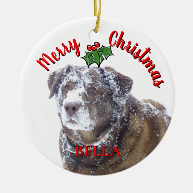  Merry Christmas personalise pet photo template Ceramic Tree Decoration (Front)