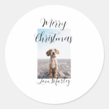 Merry Christmas pet dog cat photo holiday gifts lo