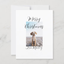 Merry Christmas pet dog cat photo holiday gifts lo