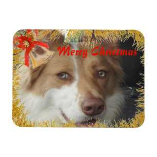 Merry Christmas Pet Photo Magnet