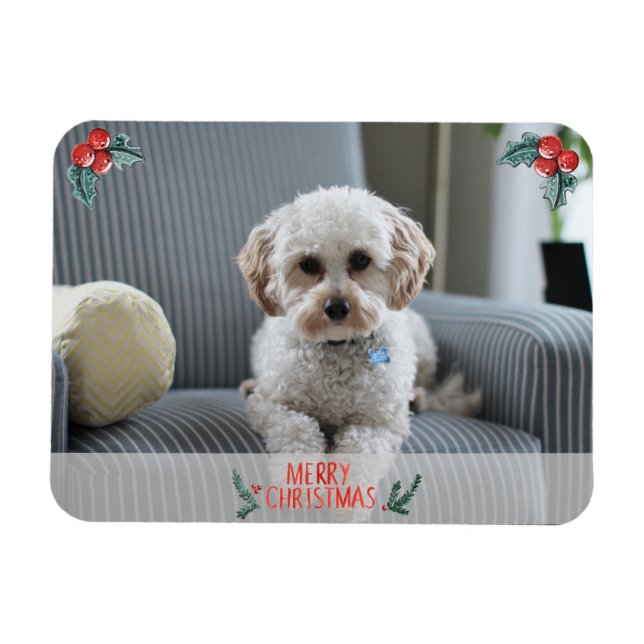 Merry Christmas Photo Card from Pet Magnet (Horizontal)